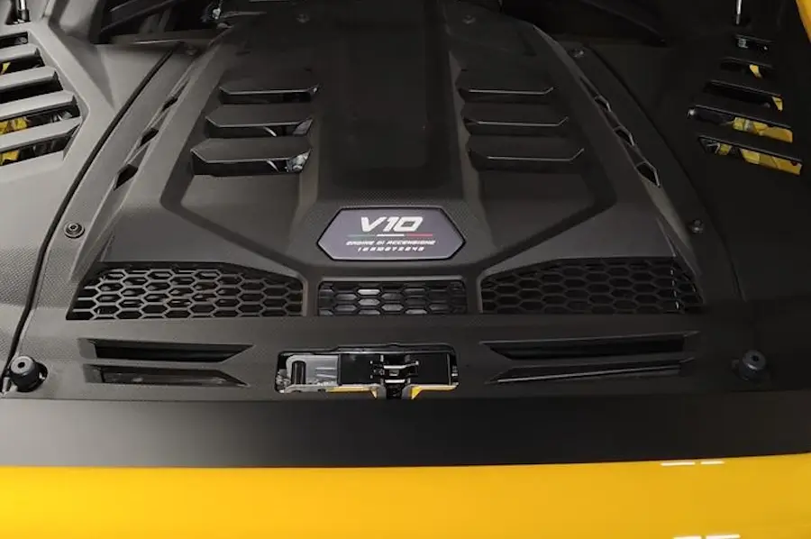 WhatsApp Image 2025-05-01 at 4.24.31 PM