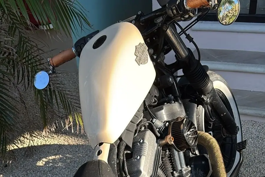 WhatsApp Image 2025-05-07 at 10.15.48 AM